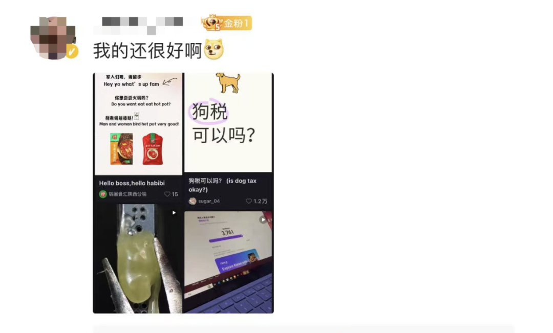 小红书崩了