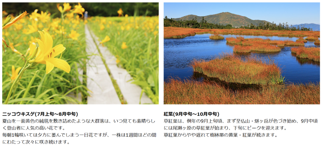 感受徒步登山的魅力尾濑 - 封面图