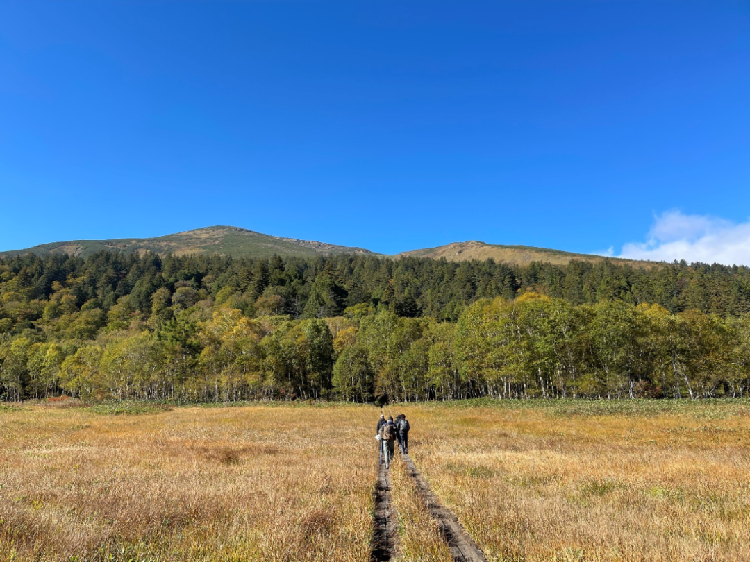 感受徒步登山的魅力尾濑 - 封面图