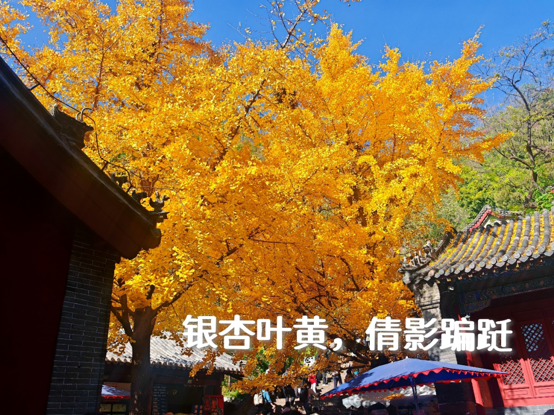 对平淡生活的一次越狱泰山 - 封面图