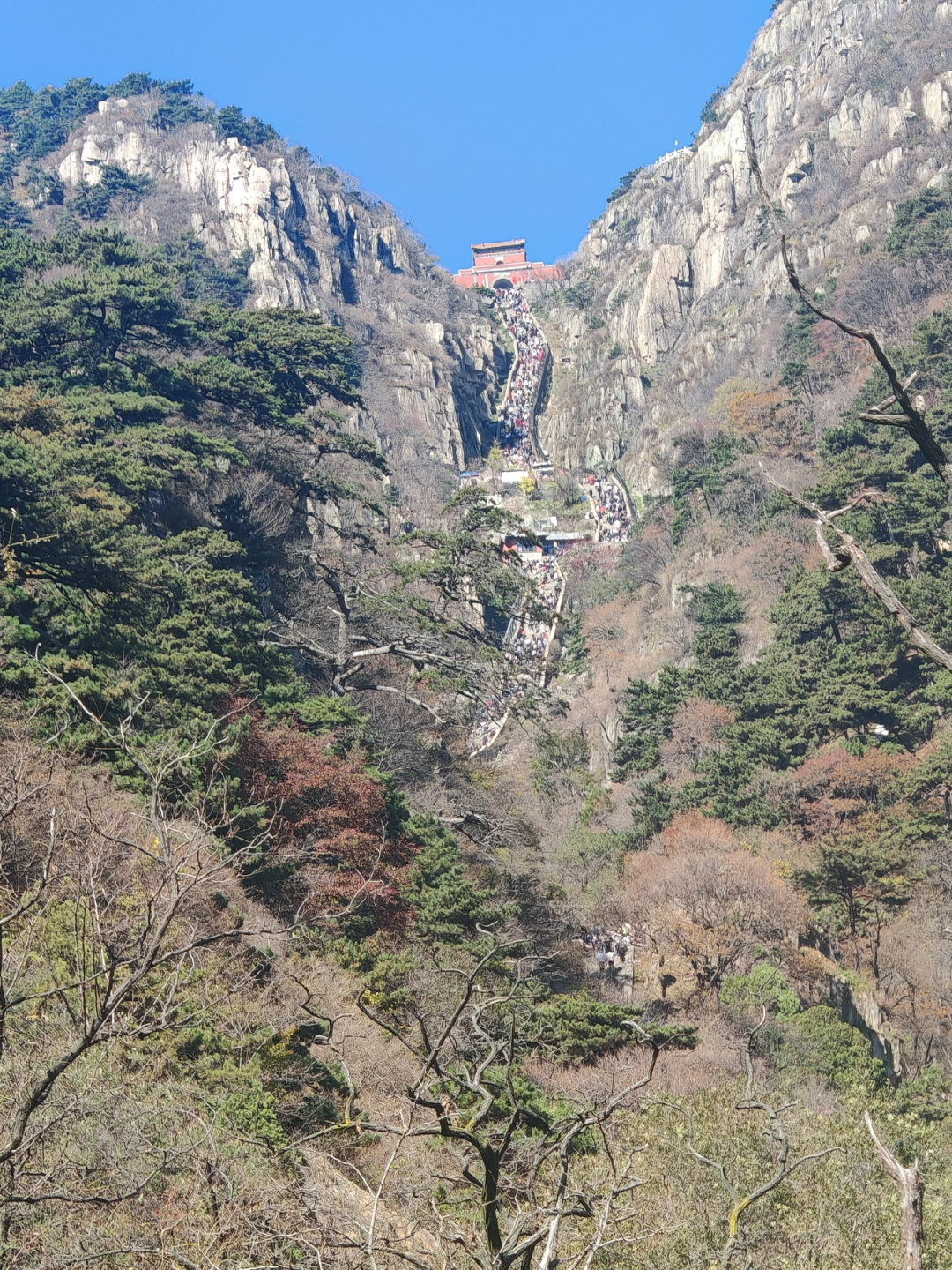 对平淡生活的一次越狱泰山 - 封面图