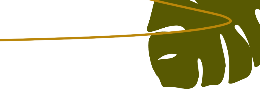 特灵随笔 - 封面图