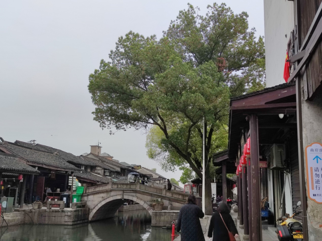 梦江南游绍兴 - 封面图