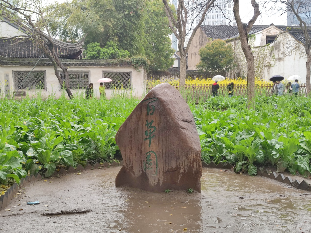 梦江南游绍兴 - 封面图