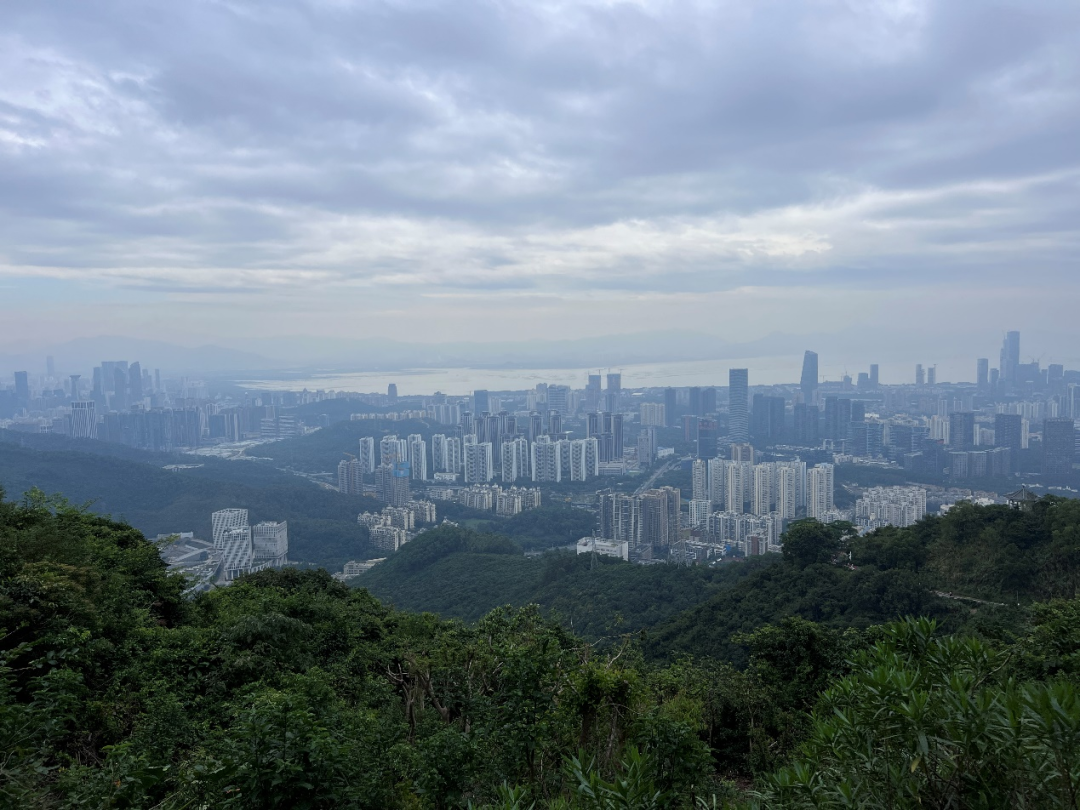 深圳散步指南 - 封面图