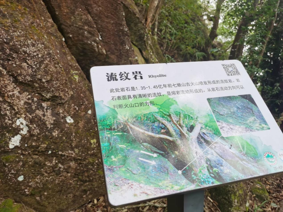 深圳散步指南 - 封面图