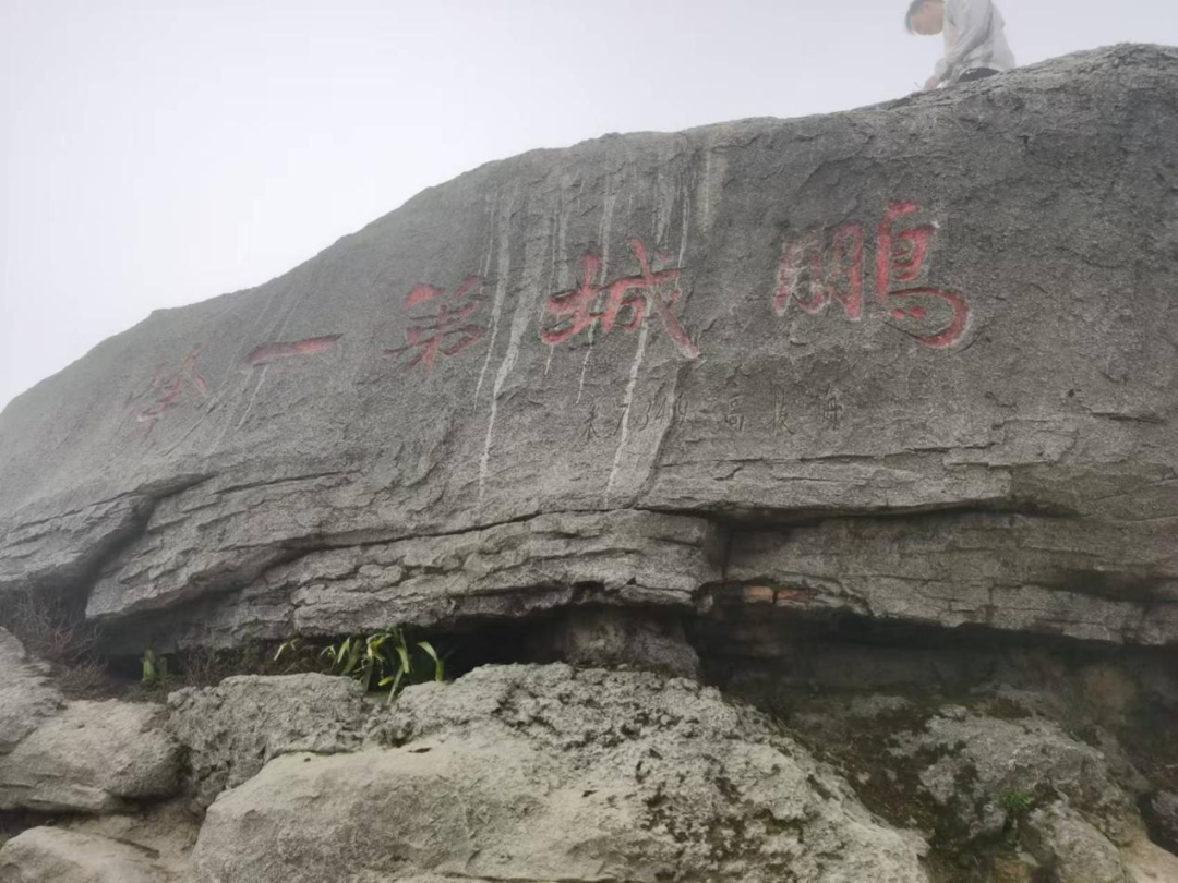 深圳散步指南 - 封面图