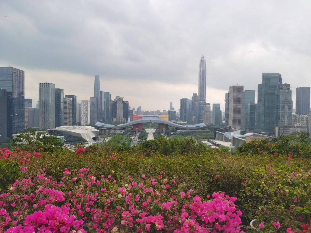 深圳散步指南 - 封面图