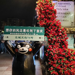 在重庆做项目的酸甜辣没有苦 - 封面图