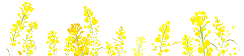 花样团建姿势 MABDer 的团建一览 - 封面图