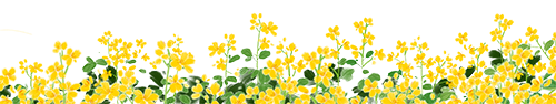 花样团建姿势 MABDer 的团建一览 - 封面图