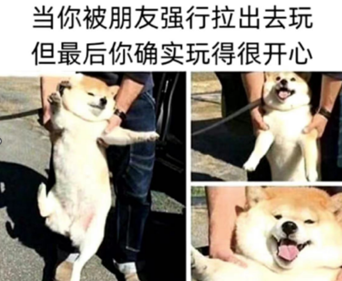 花样团建姿势 MABDer 的团建一览 - 封面图