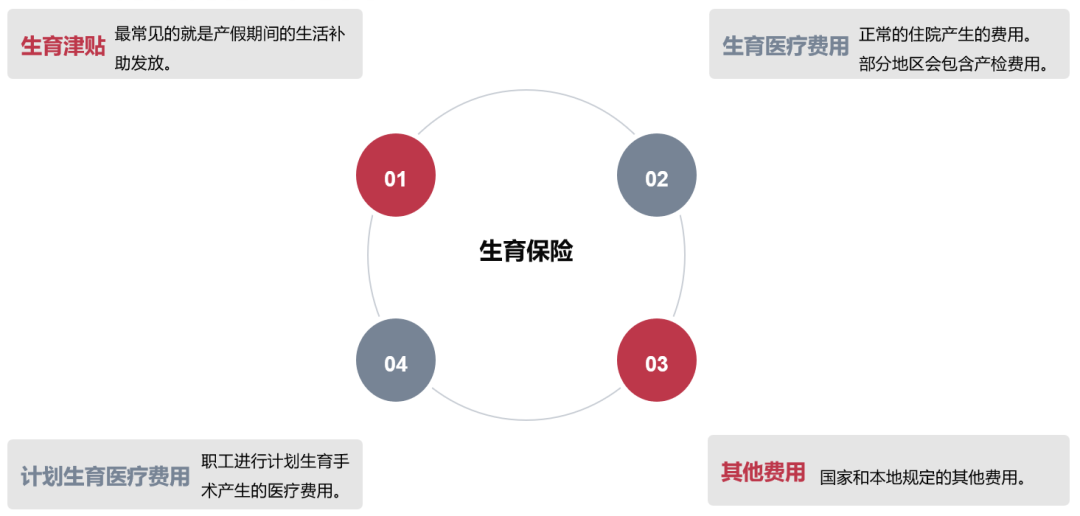 你知道什么是生育保险吗 - 封面图