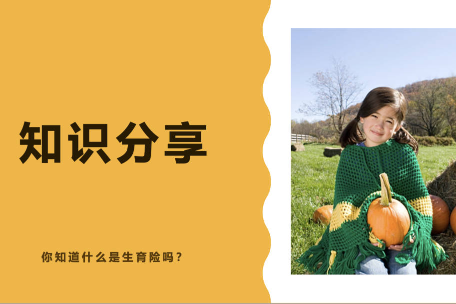 你知道什么是生育保险吗 - 封面图