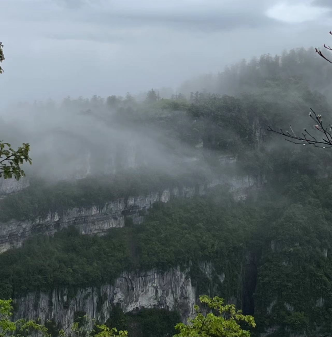 峨眉山雾中山间的旷野漫游 - 封面图