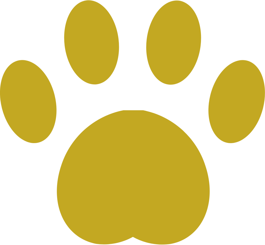 成都大熊猫基地游览经验 - 封面图