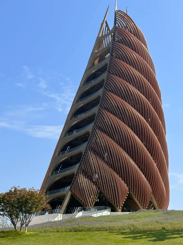 成都大熊猫基地游览经验 - 封面图