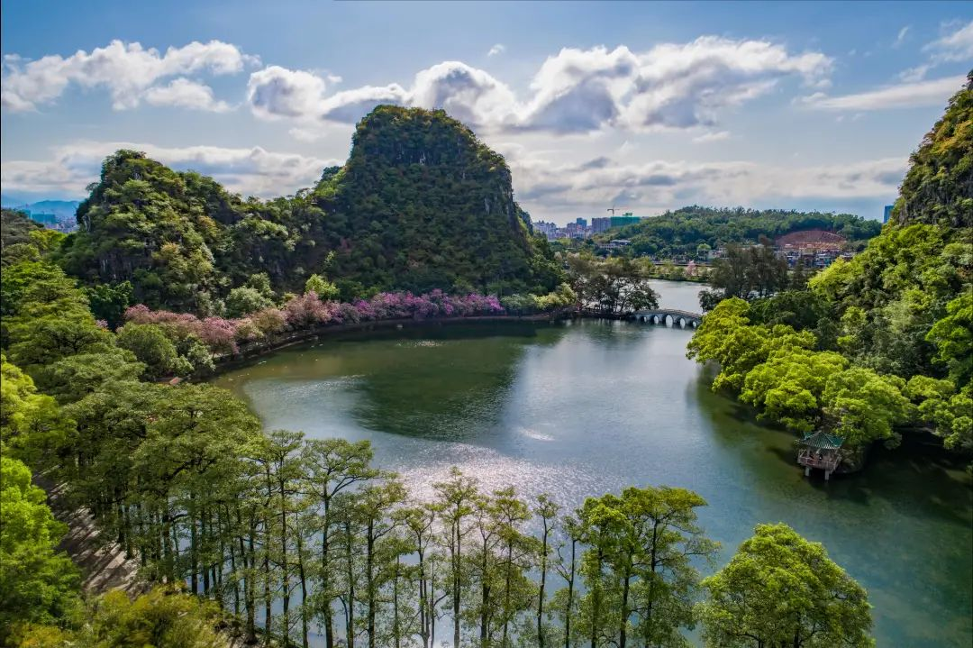 走进肇庆感受岭南风情 - 封面图