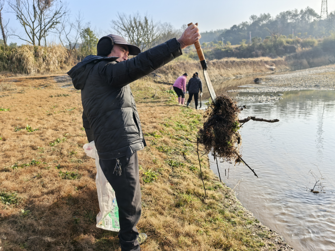 护鸟牌怎么写擦亮生态金字招牌 织密候鸟守护网络——武宁县宋溪镇全方位筑牢野生动物保护防线_https://www.jmylbn.com_新闻资讯_第4张
