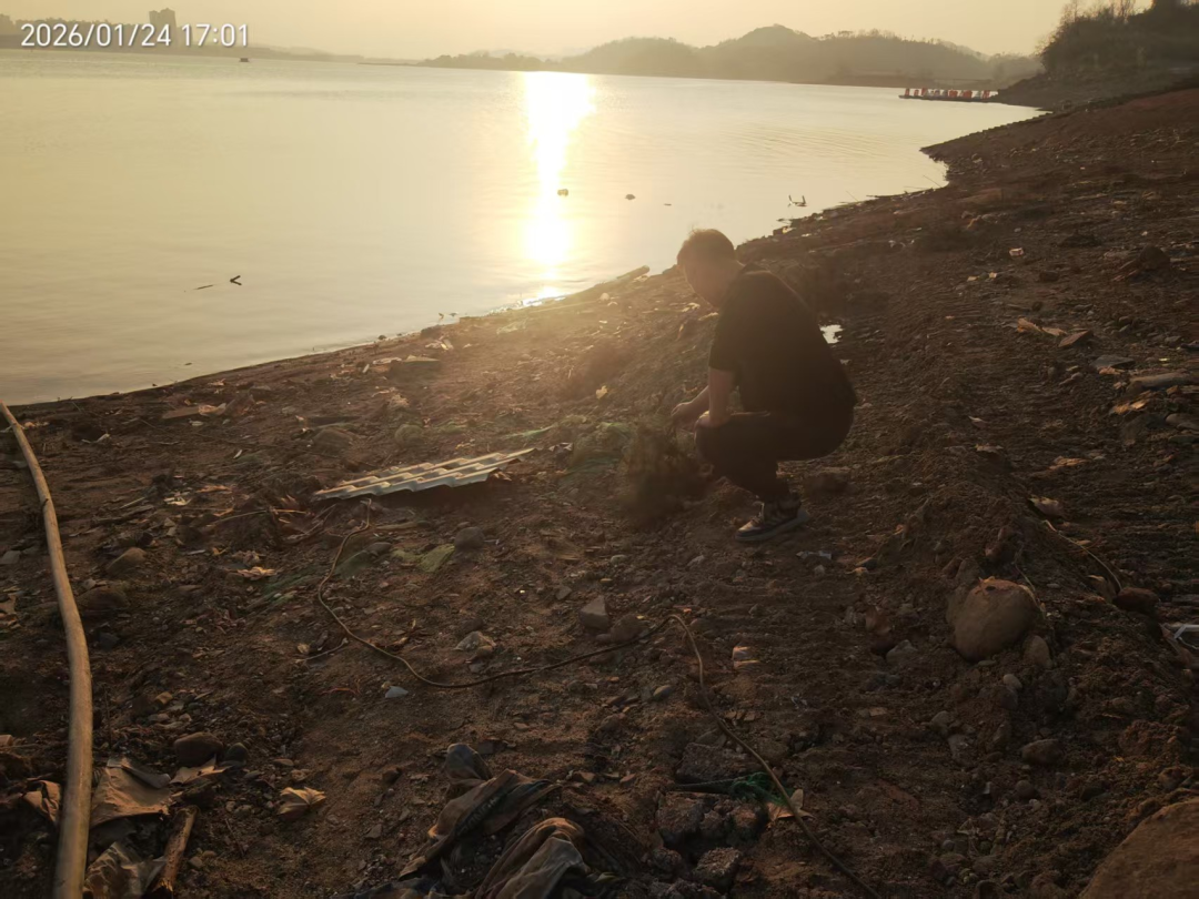 护鸟牌怎么写擦亮生态金字招牌 织密候鸟守护网络——武宁县宋溪镇全方位筑牢野生动物保护防线_https://www.jmylbn.com_新闻资讯_第2张
