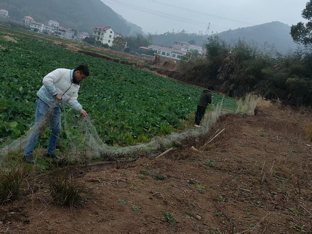 护鸟牌怎么写擦亮生态金字招牌 织密候鸟守护网络——武宁县宋溪镇全方位筑牢野生动物保护防线_https://www.jmylbn.com_新闻资讯_第3张