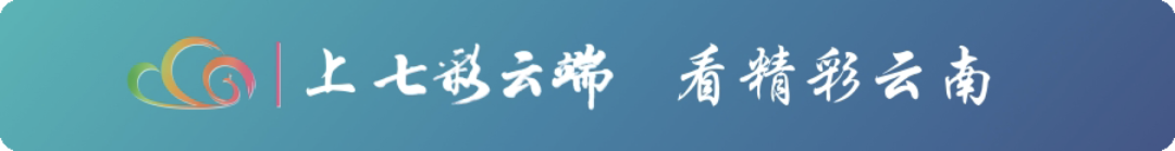 【有一种叫云南的生活？我家乡村美】何以勐景来