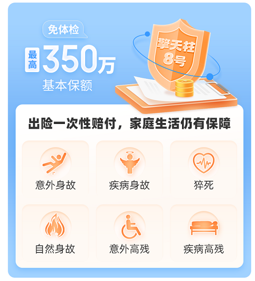 北京人寿擎天柱8号定期寿险保障