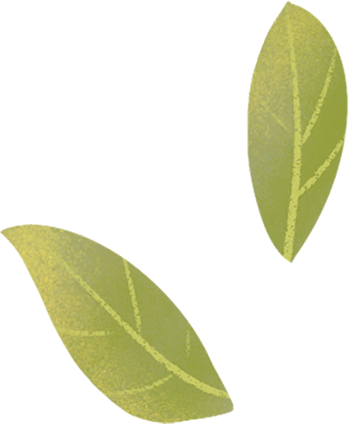 熏蒸什么档位治什么关爱鼻腔健康，畅享清新呼吸_https://www.jmylbn.com_新闻资讯_第5张