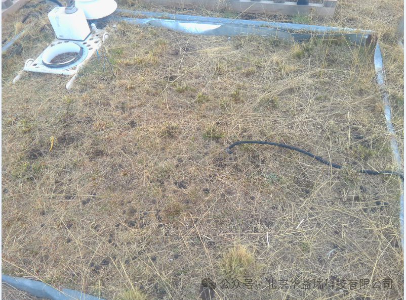 ؽŶӽظԭֲﲻͬȺԼڷǶԳµӦ