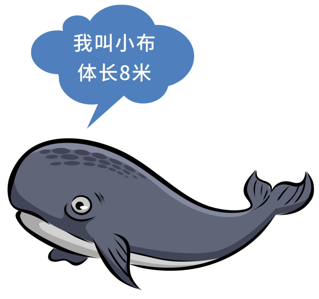 布氏鲸逗留深圳海域的第9天~(图2) 布氏鲸逗留深圳海域的第9天~(图2)
