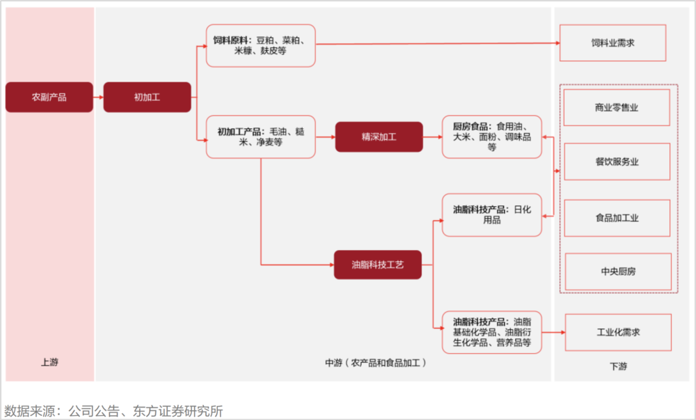 金龙鱼