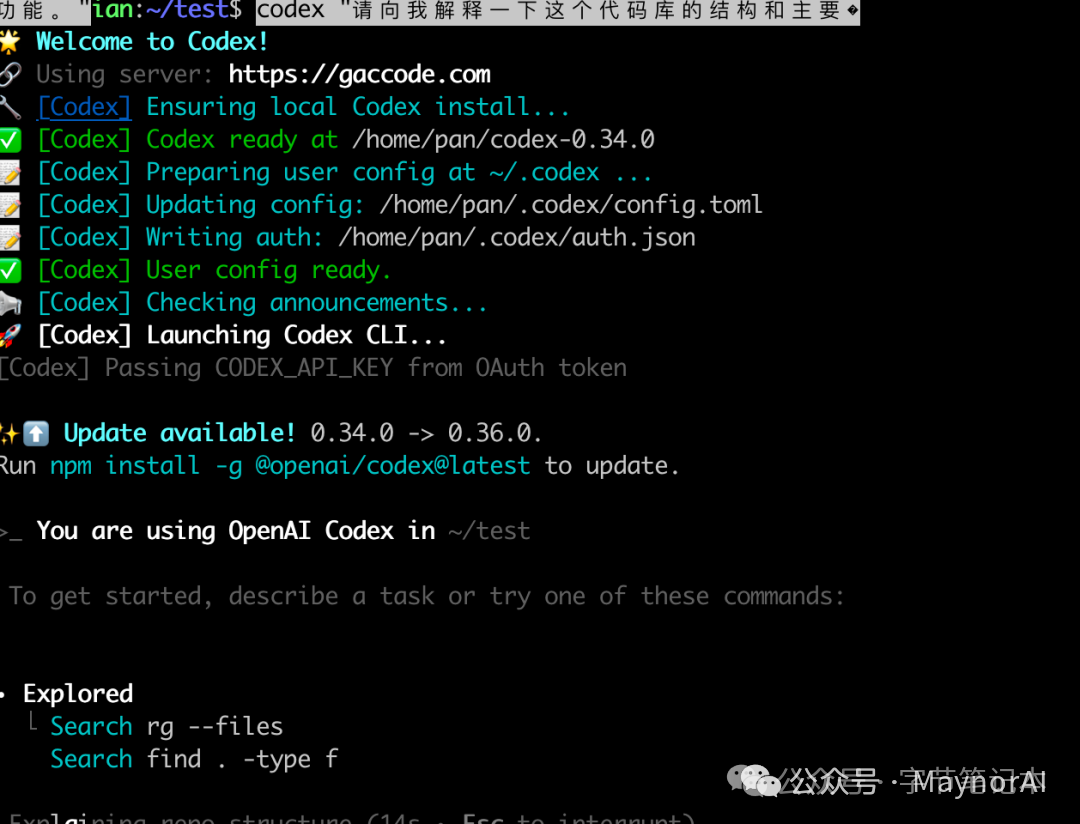 Codex CLI 交互界面