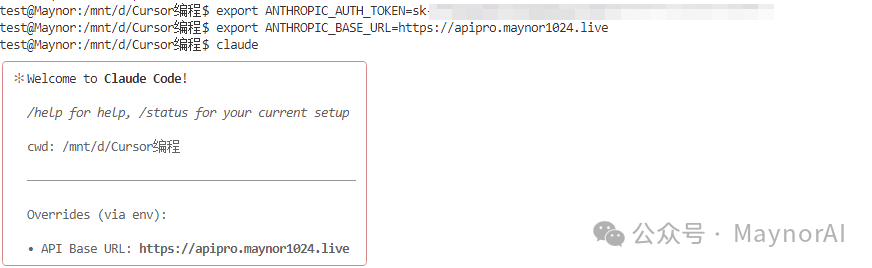 图片：Claude Code 启动与初始化设置