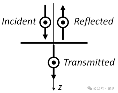 Macleod中的偏振的图2