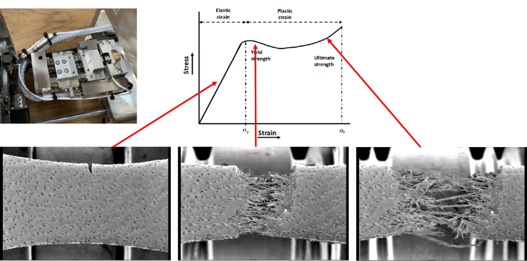 桌面台式扫描电镜