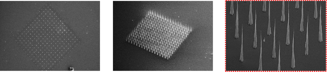 桌面台式扫描电镜