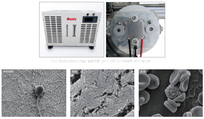 桌面台式扫描电镜