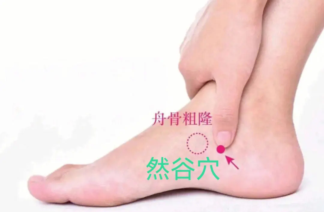 一个调理 “ 糖尿病 ” 的专用穴-搜博