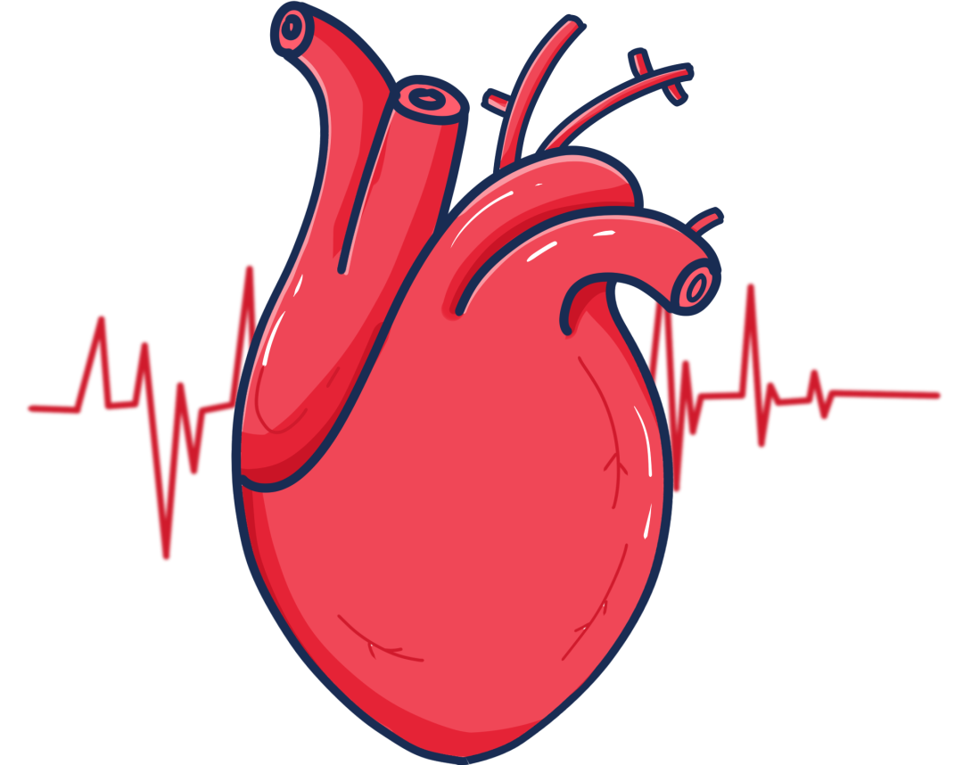 为什么要使用制氧机家中自备制氧机真的有必要吗？我该怎么选？_https://www.jmylbn.com_新闻资讯_第4张