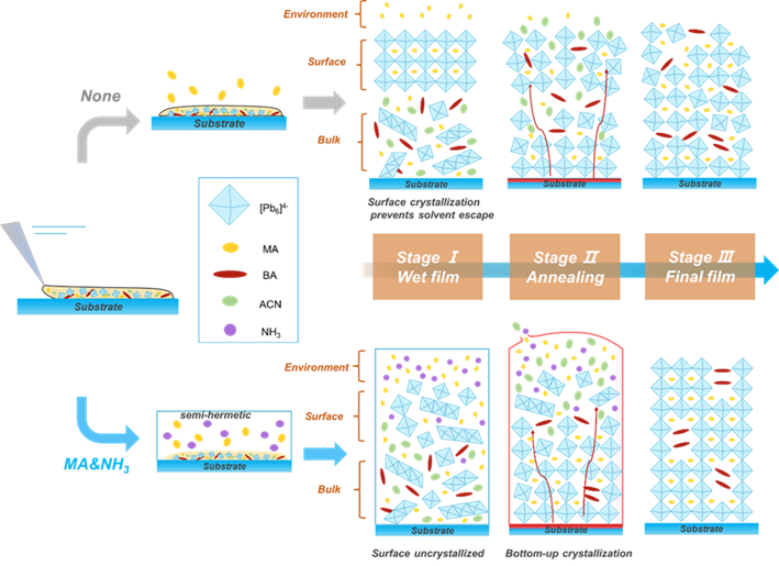 什么是平板探测器Light ｜ 精准控制结晶构建高性能钙钛矿平板X射线探测器_https://www.jmylbn.com_新闻资讯_第2张