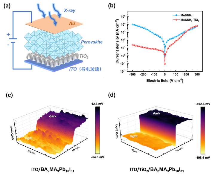 什么是平板探测器Light ｜ 精准控制结晶构建高性能钙钛矿平板X射线探测器_https://www.jmylbn.com_新闻资讯_第3张