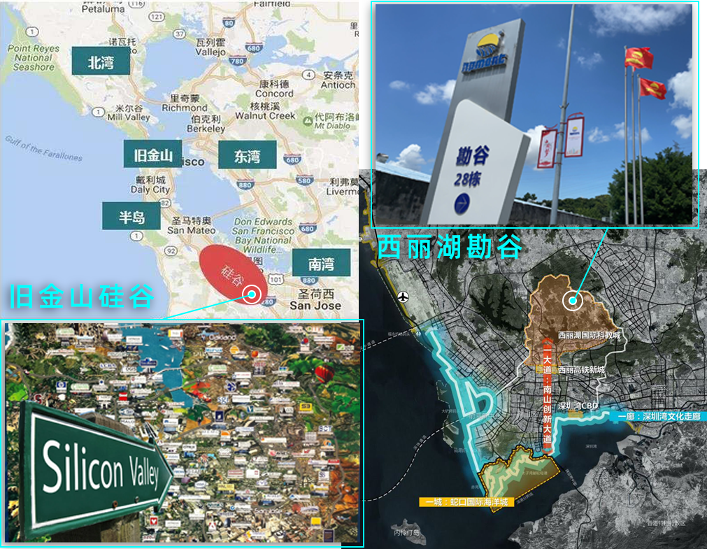 专精特新认定标准解读_深圳市专精特新中小企业名单_深圳专精特新认定