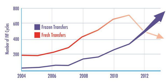 关于「冻胚」的真相，可能会出乎你的意料！