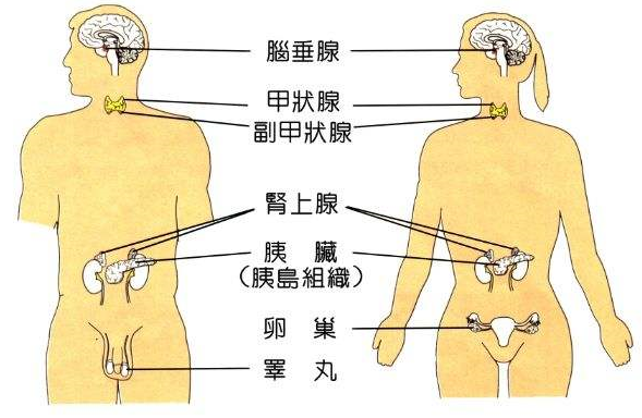 不孕人群为什么越来越多?答案都在这里了……