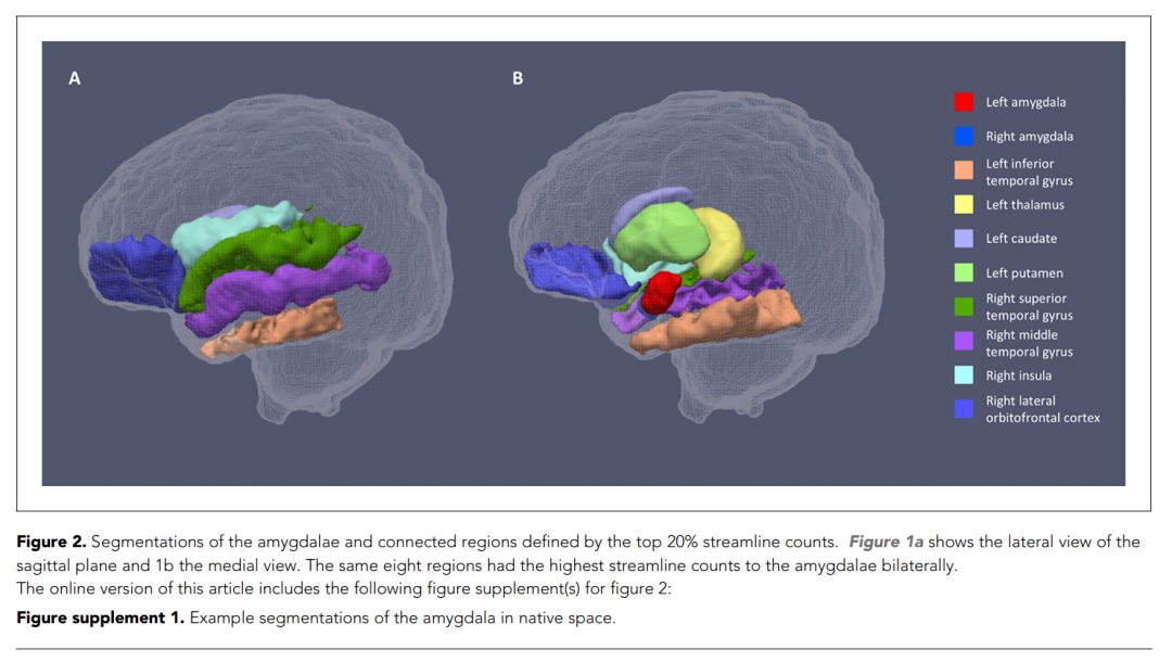 孕期不注意这个细节，竟影响宝宝的脑部健康！