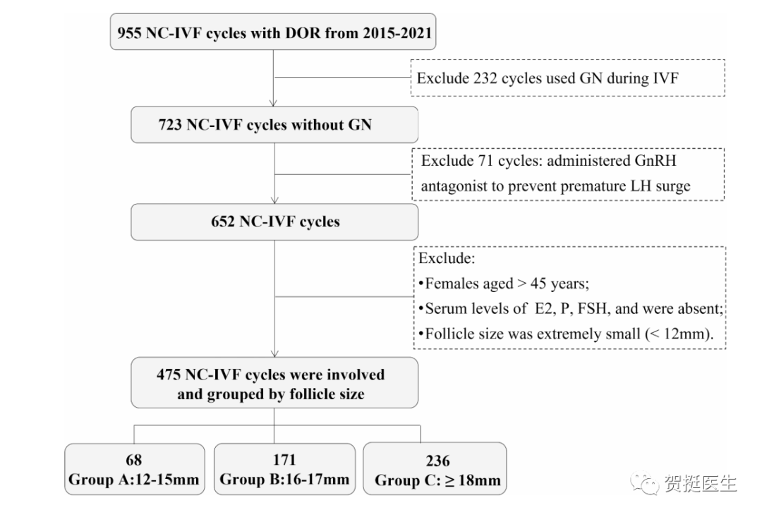 卵泡偏小，机会渺茫? 看完这篇文章你可以放心了
