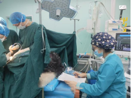 大腿取钢丝怎么麻醉精准护航高龄脆弱骨折    一场“走钢丝”般的麻醉守卫战——武山县中医医院麻醉科病例分享_https://www.jmylbn.com_新闻资讯_第5张