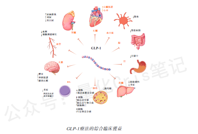 港股打新｜银诺医药-B开启港股IPO招股：你需要了解的三个风险！