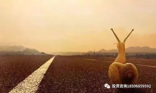 图片[1]-亏损14年我的系统已经稳定了，我离不开这个市场（真情告白）-明慧期货培训网，学习联系：15217215251