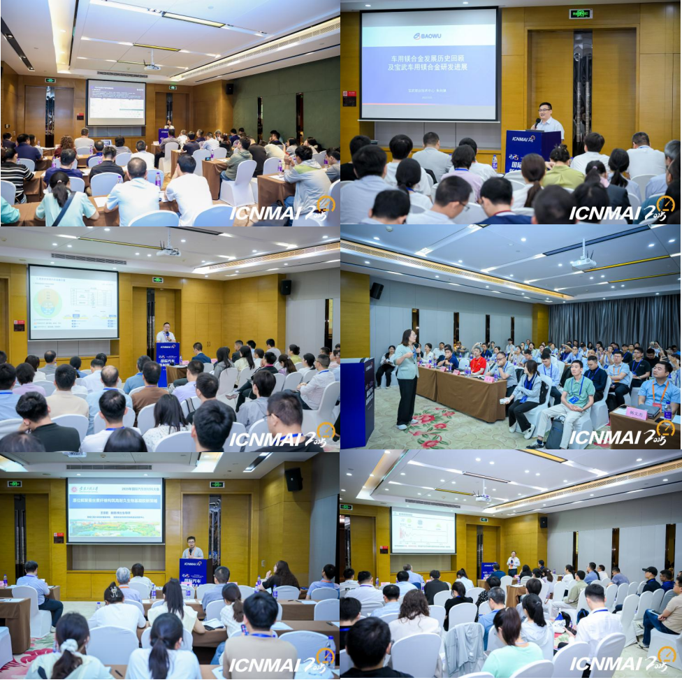 2025年国际汽车新材料大会在芜湖圆满举办(图3)
